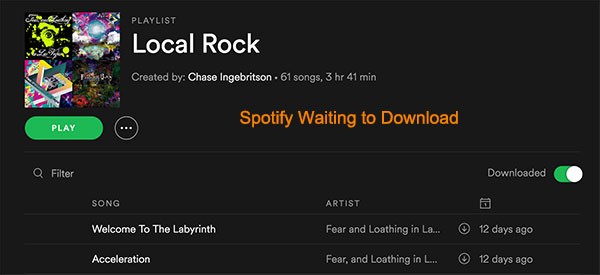 Spotify Gets To 99 Then Says Waiting To Download